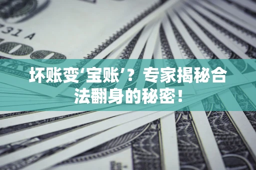 北京坏账变‘宝账’？专家揭秘合法翻身的秘密！