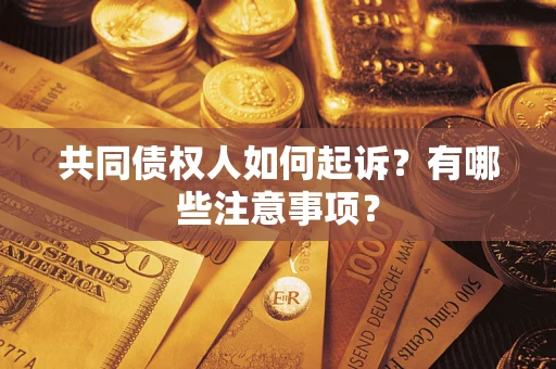北京共同债权人如何起诉？有哪些注意事项？